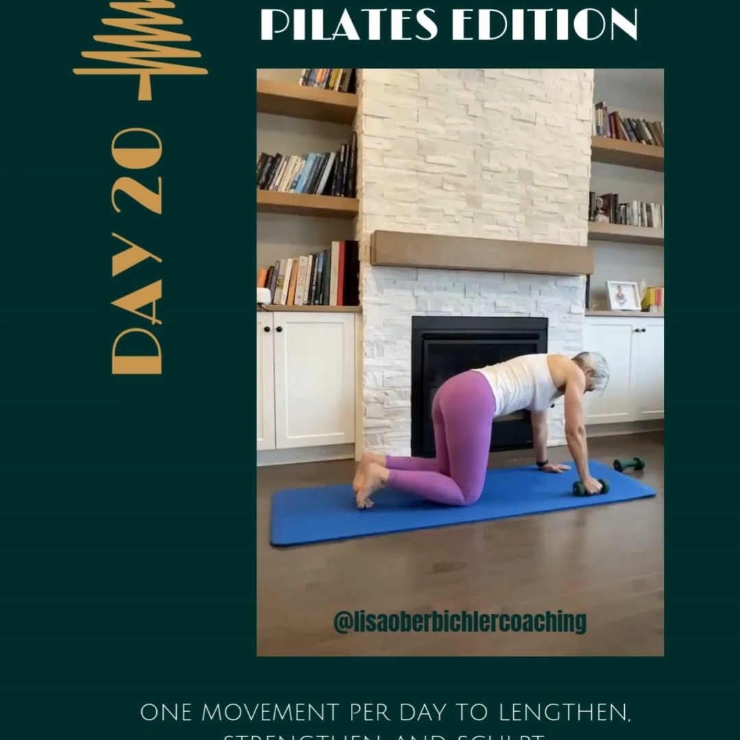 🎄 Day 20 of the 24 Days of Fitmas — Pilates Edition 🎄

Today’s move: Bird Dog Hold 🐦🐕
(With or without dumbbells — choose your own holiday adventure 😉)

✨ Cue it up:
• Hands under shoulders, knees under hips
• Extend opposite arm and leg — long, not high
• Zip up through the core like you’re fastening snug holiday pants 🎅
• Keep hips and shoulders square (no rocking the sleigh!)
• Breathe… shake is optional and totally festive

💪 Add dumbbells if you’re feeling spicy.
🤍 Skip them if you’re here for steady, sneaky core work.
Either way, this move is all about control, balance, and strength — not speed.

🎁 Consider this your gift to posture, core strength, and future you.

Keep showing up, keep having fun, and remember:
Strong > perfect (even during Fitmas).

#FitmasPilates #Day20Fitmas #BirdDogHold #CoreStability #PilatesStrong
#HolidayMovement #FestiveFitness #StrongForTheHolidays #WomenWhoMove
#MindfulMovement